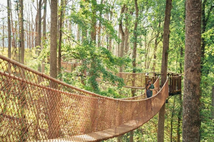 Romantic A-Frame Private Hottub Firepit Neargsmnp Sevierville Esterno foto